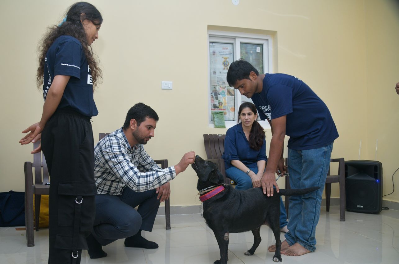 Royal Canin Partners With Friendicoes SECA To Implement Animal Assisted Intervention In Select Cities Across India